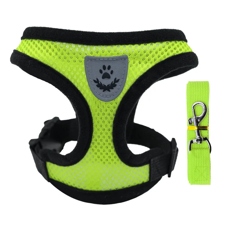 Comfort & Secure Dog Harness