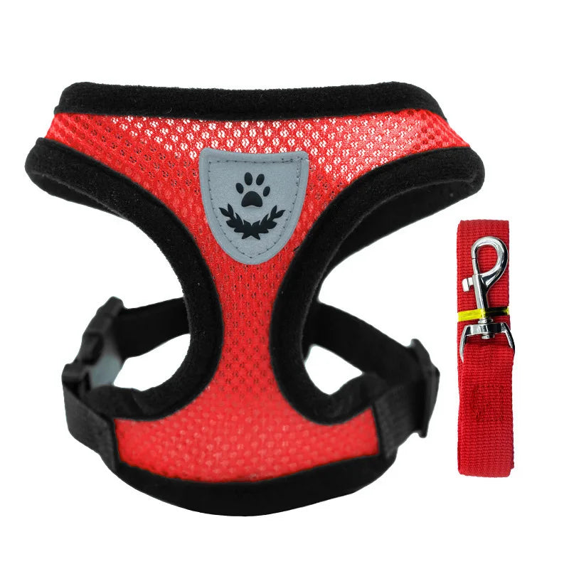 Comfort & Secure Dog Harness