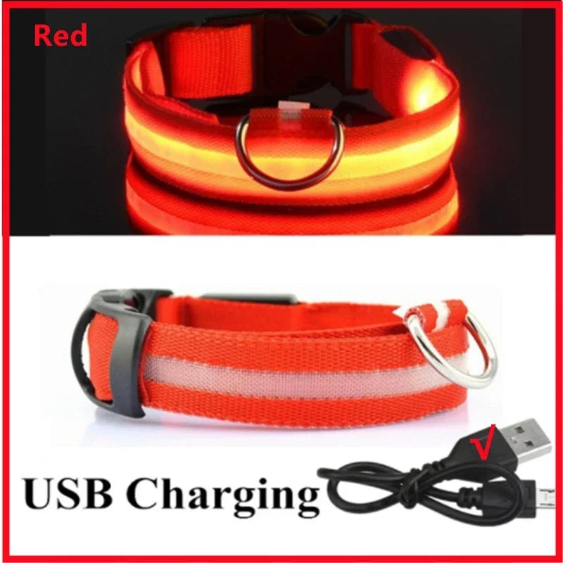 LED Dog Collar - USB Rechargeable Glow Collar with 3 Light Modes