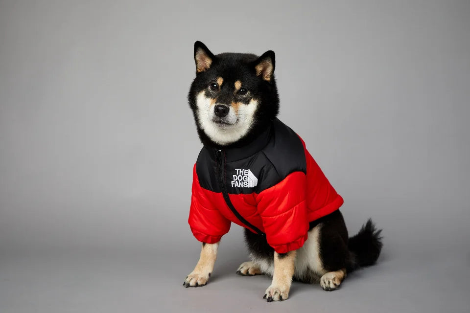 WinterShield Dog Harness Coat