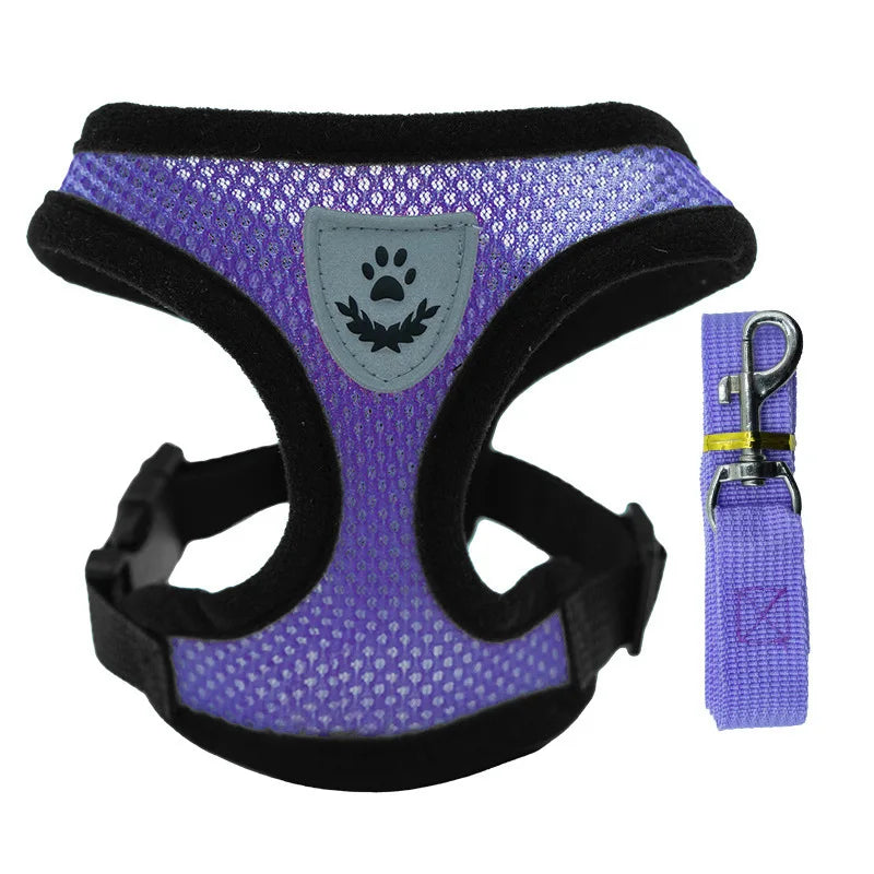 Comfort & Secure Dog Harness