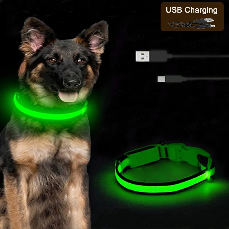 LED Dog Collar - USB Rechargeable Glow Collar with 3 Light Modes