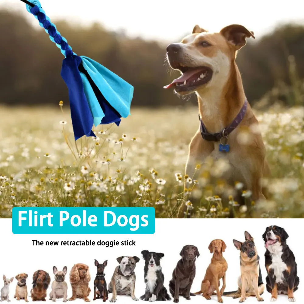 Dog Flirt Pole - Interactive Lure Stick Training & Exercise Toy with Rope
