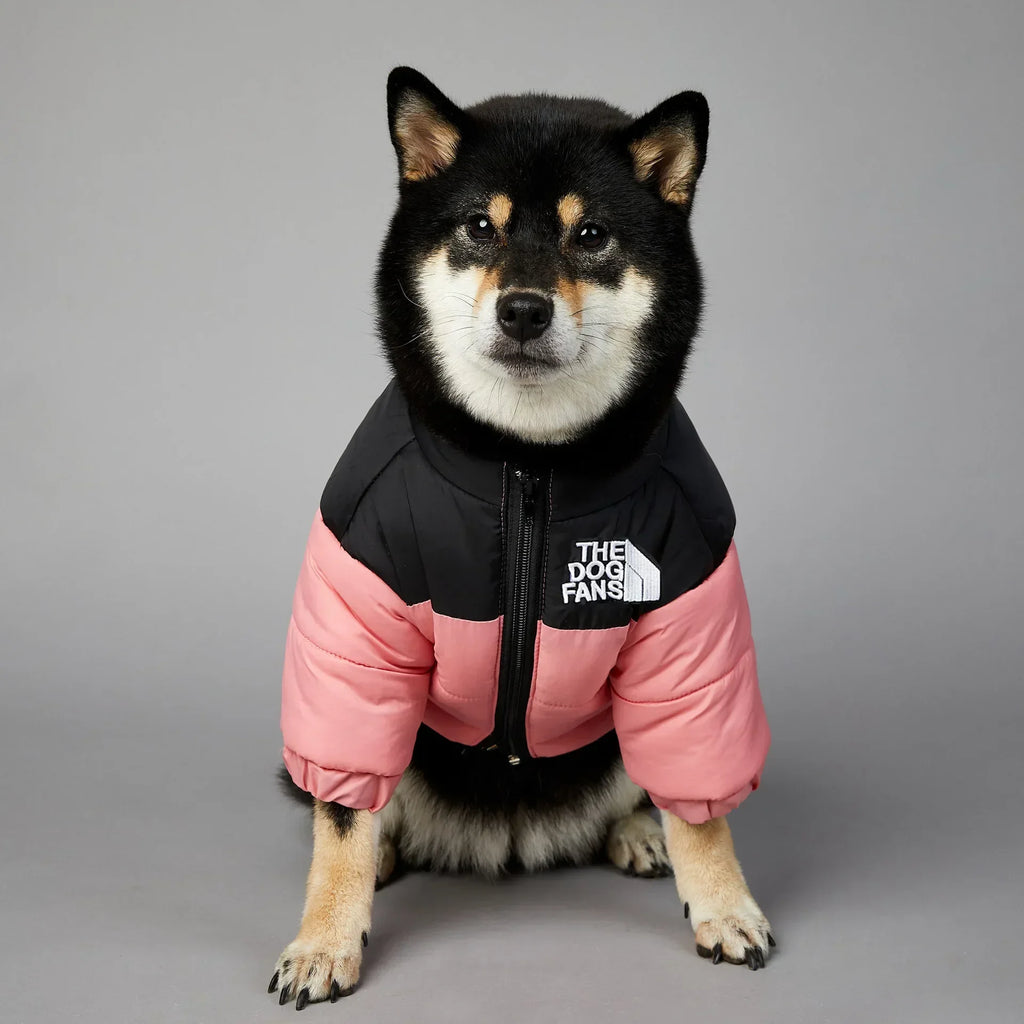 WinterShield Dog Harness Coat