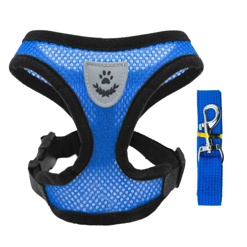 Comfort & Secure Dog Harness