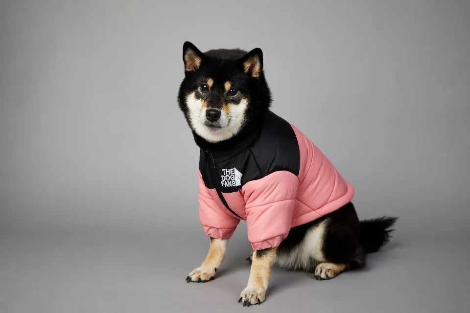 WinterShield Dog Harness Coat
