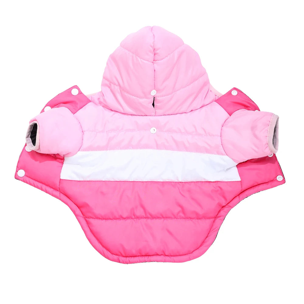 Winter Jacket for Dogs and Cats –