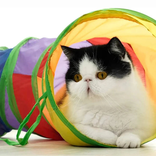 Cat Play Tunnel - Foldable Collapsible Tube Toy with Crinkle Sound for Interactive Play
