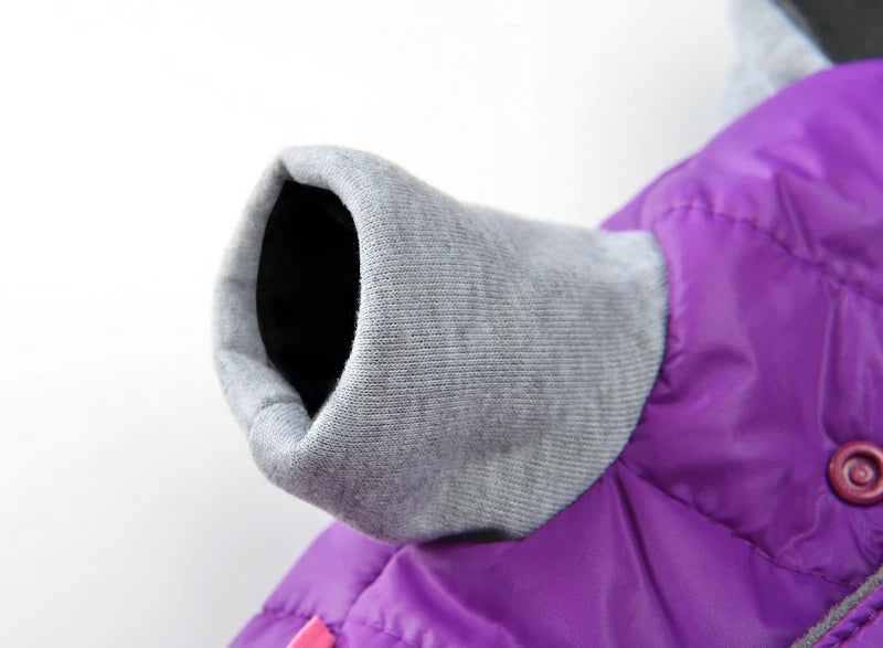 PawShield Winter Dog Jacket