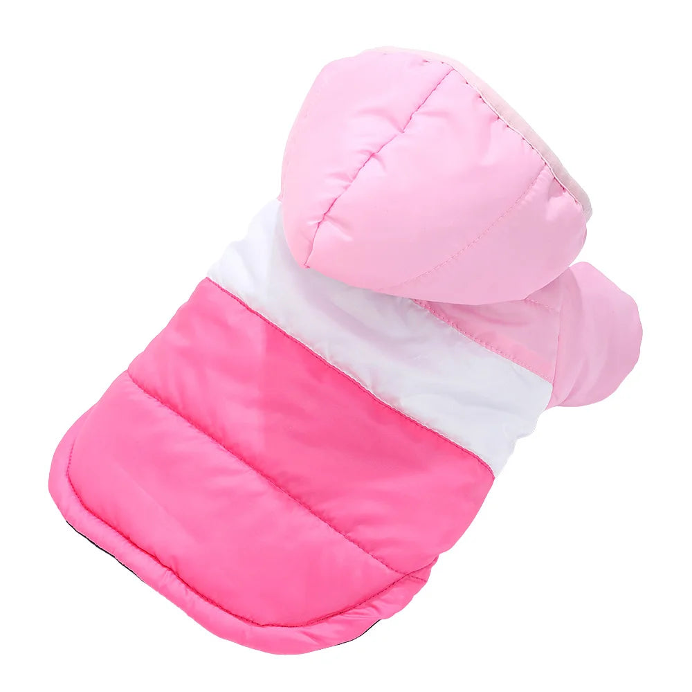 Winter Jacket for Dogs and Cats –