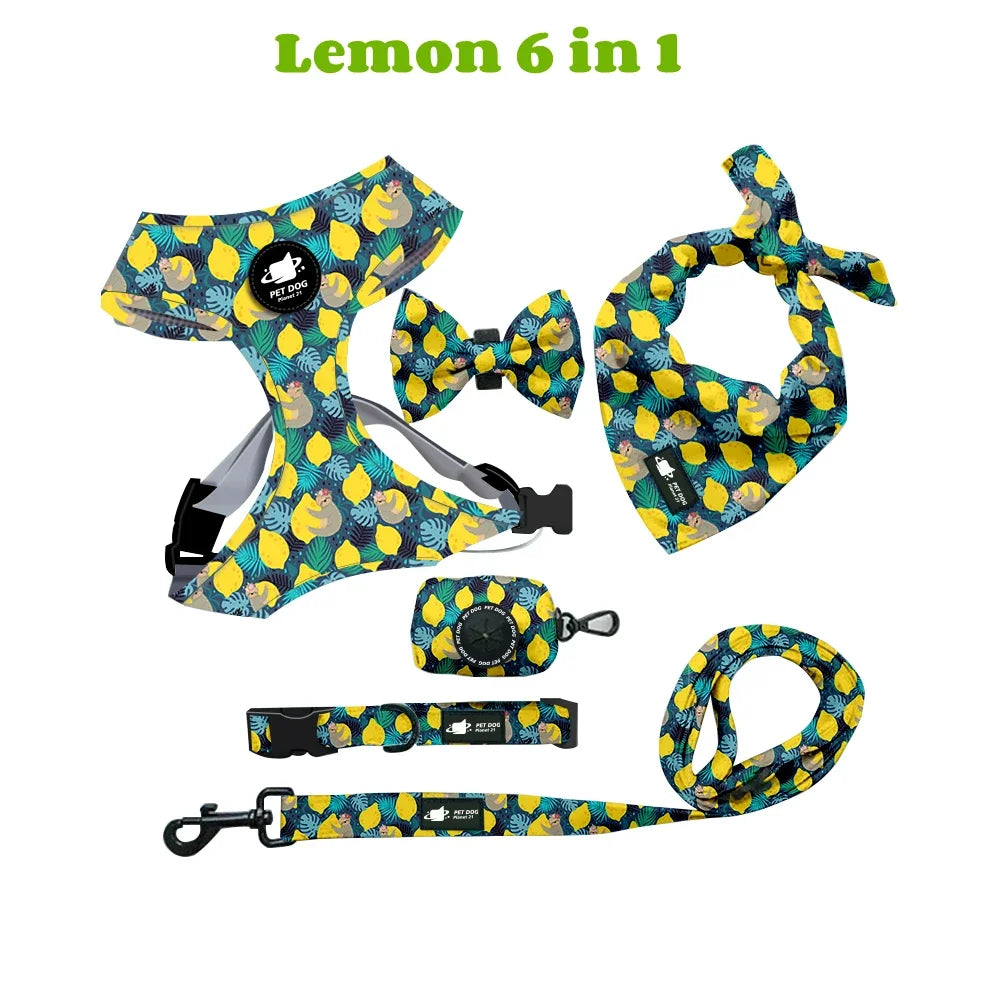 Complete 6-in-1 Dog Walking Set - Vest Harness, Collar, Leash, Bandana, Poop Bag Dispenser & Bags