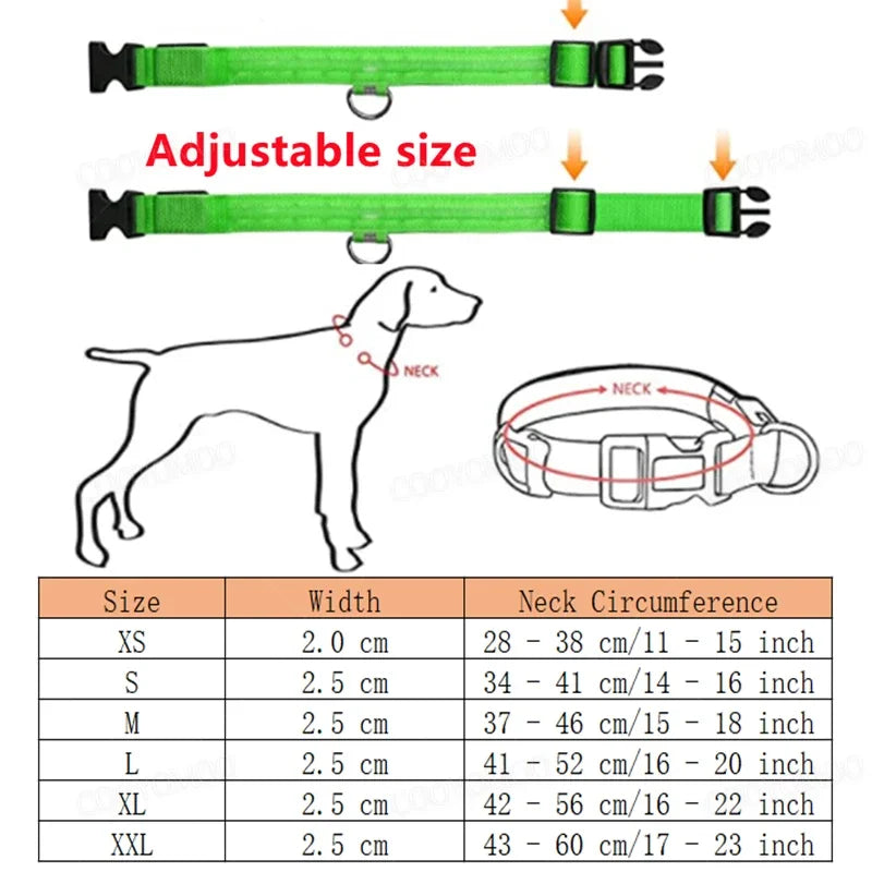LED Dog Collar - USB Rechargeable Glow Collar with 3 Light Modes
