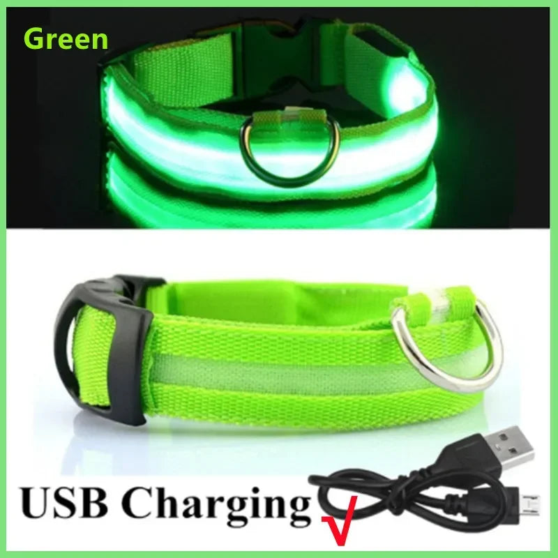 LED Dog Collar - USB Rechargeable Glow Collar with 3 Light Modes