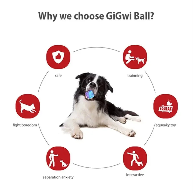 Gigwi Interactive Squeaky Dog Ball - 2.5" Bouncy G-Ball for Small & Medium Dogs