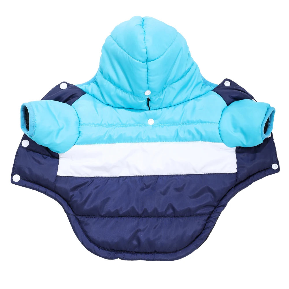 Winter Jacket for Dogs and Cats –