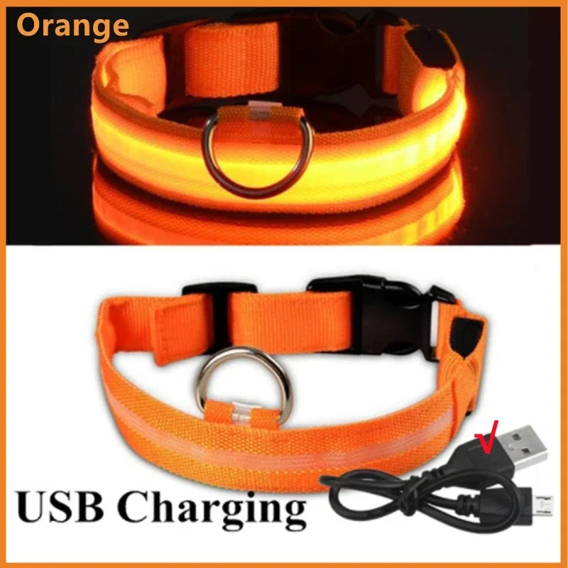 LED Dog Collar - USB Rechargeable Glow Collar with 3 Light Modes