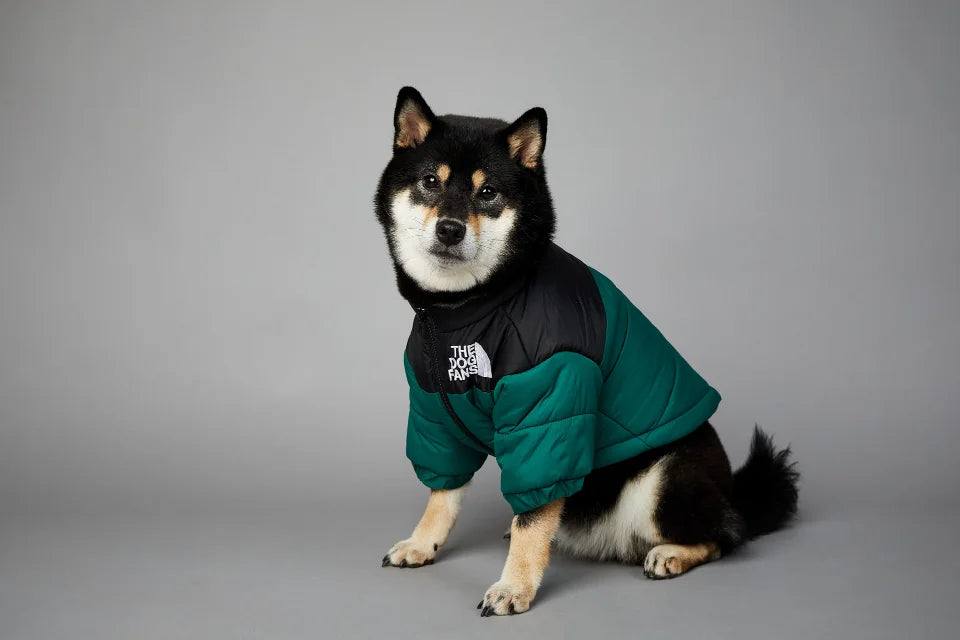 WinterShield Dog Harness Coat
