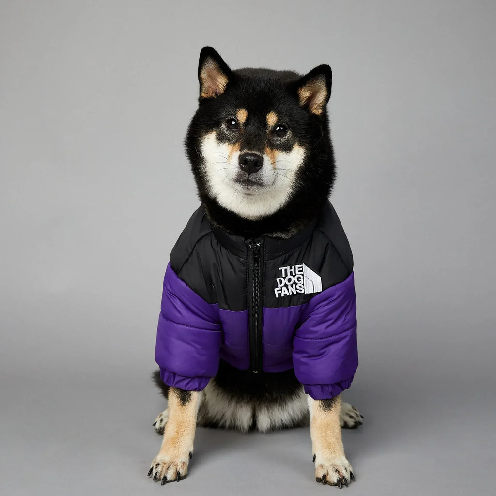 WinterShield Dog Harness Coat