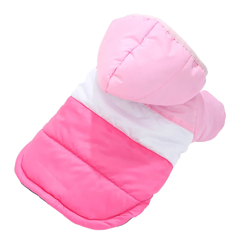 Winter Jacket for Dogs and Cats –