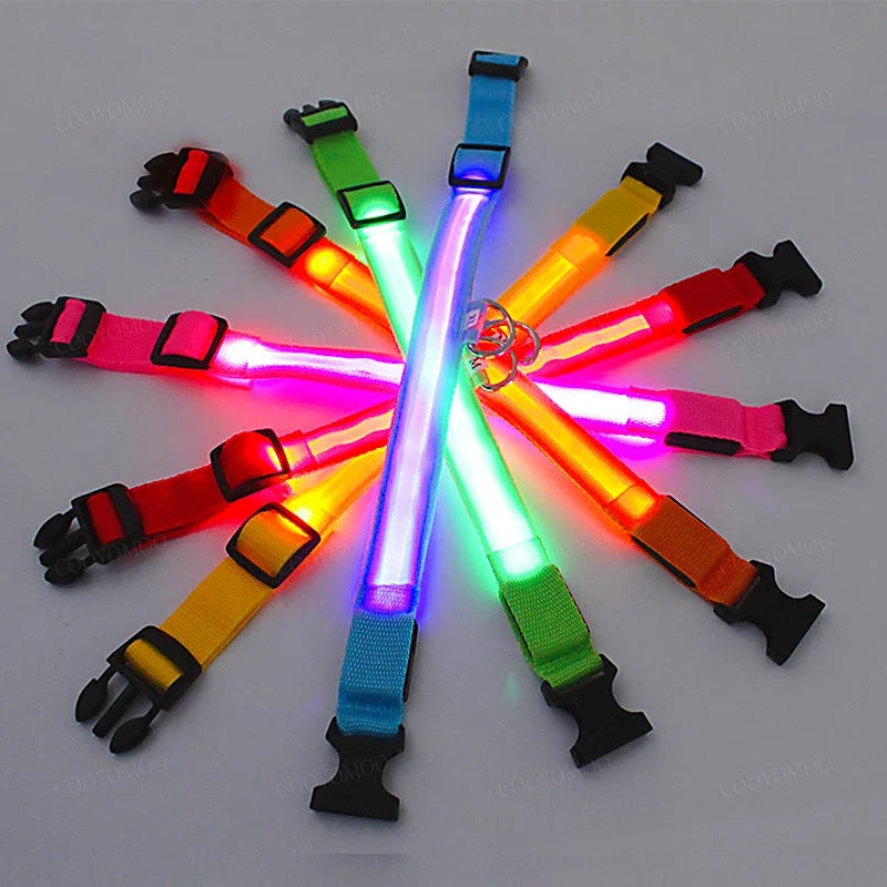 LED Dog Collar - USB Rechargeable Glow Collar with 3 Light Modes