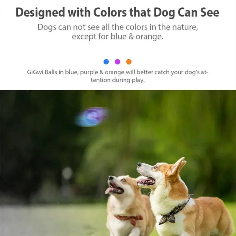 Gigwi Interactive Squeaky Dog Ball - 2.5" Bouncy G-Ball for Small & Medium Dogs