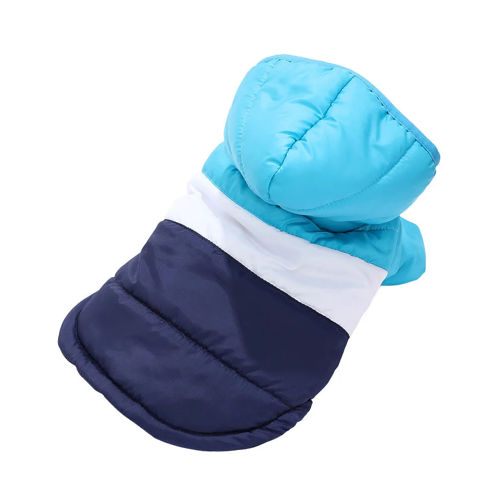 Winter Jacket for Dogs and Cats –