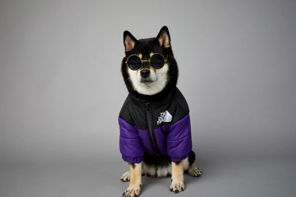 WinterShield Dog Harness Coat