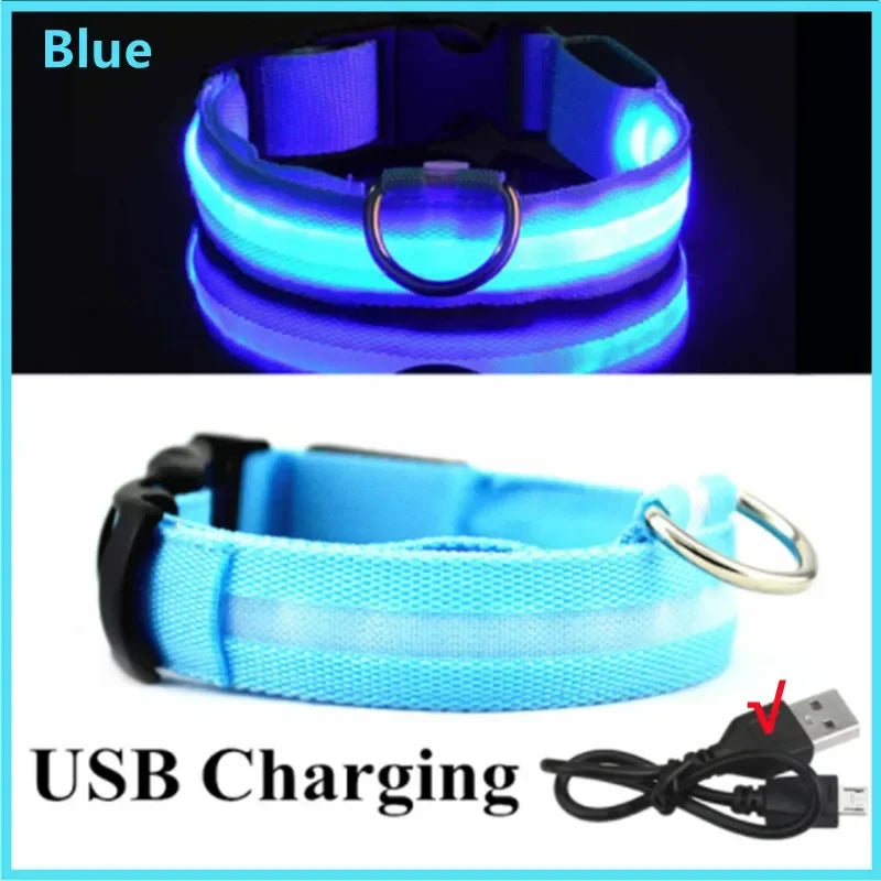 LED Dog Collar - USB Rechargeable Glow Collar with 3 Light Modes