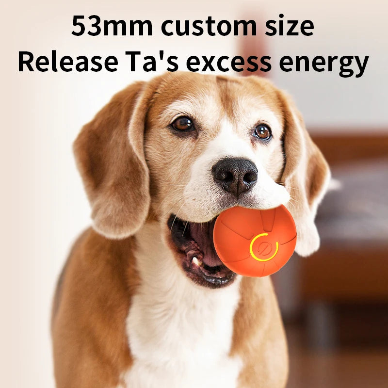 Smart Interactive Dog Ball - USB Rechargeable Automatic Rolling Toy