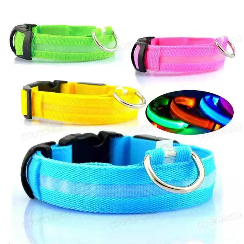 LED Dog Collar - USB Rechargeable Glow Collar with 3 Light Modes