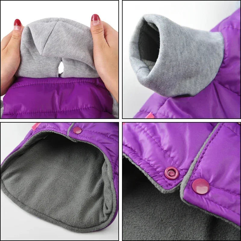 PawShield Winter Dog Jacket