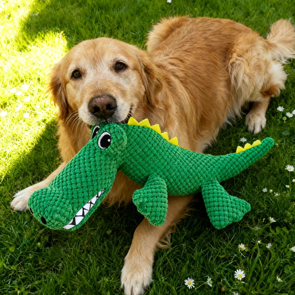 Chew-Resistant Plush Crocodile Toy - Interactive Squeaky Toy for Dogs & Cats