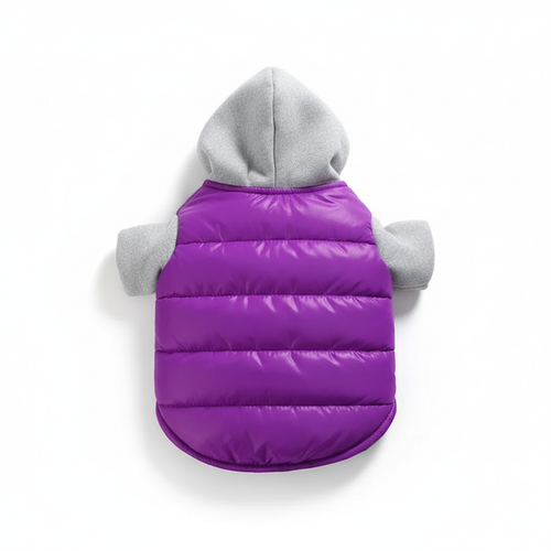 PawShield - Image principale pro